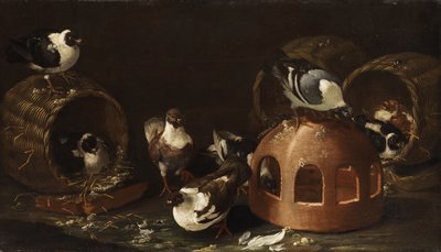 Pigeons Between Feeding Trough and Baskets by Giovanni Agostino Cassana